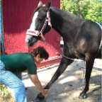 Adjusting front legs