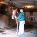 Holly the soccer playing horse - with kids that have CP